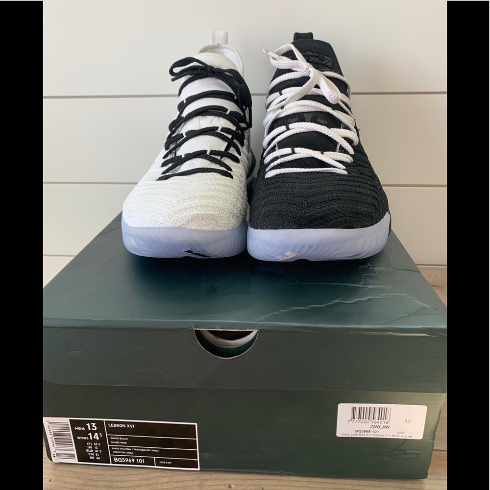 Nike Lebron 16 Equality shoes